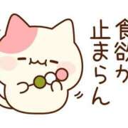 ヒメ日記 2025/04/03 06:00 投稿 ミオリ ドMな奥様 名古屋・錦店