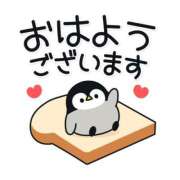 ヒメ日記 2025/04/05 06:03 投稿 ミオリ ドMな奥様 名古屋・錦店