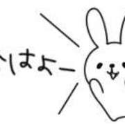 ヒメ日記 2025/05/12 06:07 投稿 ミオリ ドMな奥様 名古屋・錦店