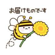 ヒメ日記 2025/07/05 11:44 投稿 ミオリ ドMな奥様 名古屋・錦店