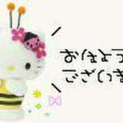 ヒメ日記 2025/08/07 06:07 投稿 ミオリ ドMな奥様 名古屋・錦店