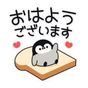 ヒメ日記 2025/08/23 06:07 投稿 ミオリ ドMな奥様 名古屋・錦店