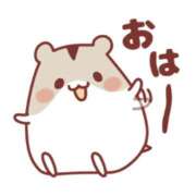 ヒメ日記 2026/05/23 08:38 投稿 ミオリ ドMな奥様 名古屋・錦店