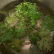 ヒメ日記 2025/03/01 14:07 投稿 藤原 HERMINE-エルミネ-