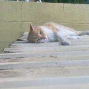 ヒメ日記 2025/04/09 07:00 投稿 藤原 HERMINE-エルミネ-