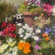 ヒメ日記 2025/04/11 08:19 投稿 藤原 HERMINE-エルミネ-