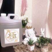 ヒメ日記 2025/04/26 10:47 投稿 藤原 HERMINE-エルミネ-