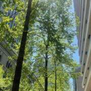 ヒメ日記 2025/05/08 07:49 投稿 藤原 HERMINE-エルミネ-