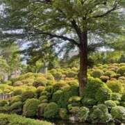 ヒメ日記 2025/05/13 12:45 投稿 藤原 HERMINE-エルミネ-