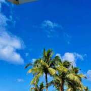 ヒメ日記 2025/05/14 07:50 投稿 藤原 HERMINE-エルミネ-