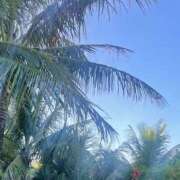 ヒメ日記 2025/05/16 13:58 投稿 藤原 HERMINE-エルミネ-