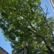 ヒメ日記 2025/06/05 08:48 投稿 藤原 HERMINE-エルミネ-