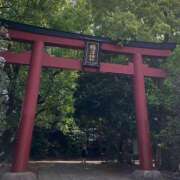 ヒメ日記 2025/06/06 16:52 投稿 藤原 HERMINE-エルミネ-