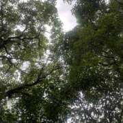 ヒメ日記 2025/06/24 09:11 投稿 藤原 HERMINE-エルミネ-