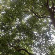 ヒメ日記 2025/07/03 08:55 投稿 藤原 HERMINE-エルミネ-