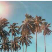 ヒメ日記 2025/07/04 12:31 投稿 藤原 HERMINE-エルミネ-