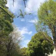 ヒメ日記 2025/07/08 08:36 投稿 藤原 HERMINE-エルミネ-