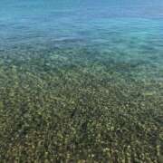 ヒメ日記 2025/07/09 08:20 投稿 藤原 HERMINE-エルミネ-