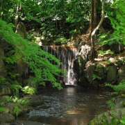 ヒメ日記 2025/07/11 12:52 投稿 藤原 HERMINE-エルミネ-