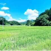 ヒメ日記 2025/07/21 08:25 投稿 藤原 HERMINE-エルミネ-