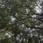 ヒメ日記 2025/08/25 08:43 投稿 藤原 HERMINE-エルミネ-