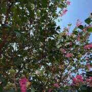 ヒメ日記 2025/08/26 12:34 投稿 藤原 HERMINE-エルミネ-