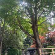 ヒメ日記 2025/08/27 08:51 投稿 藤原 HERMINE-エルミネ-