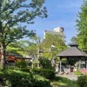 ヒメ日記 2025/09/02 06:19 投稿 藤原 HERMINE-エルミネ-