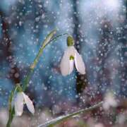 ヒメ日記 2025/09/05 10:39 投稿 藤原 HERMINE-エルミネ-