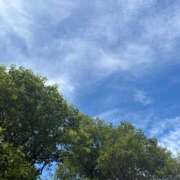 ヒメ日記 2025/09/11 12:32 投稿 藤原 HERMINE-エルミネ-