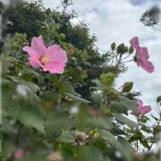 ヒメ日記 2025/09/15 10:52 投稿 藤原 HERMINE-エルミネ-