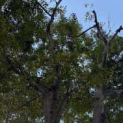 ヒメ日記 2025/09/17 15:45 投稿 藤原 HERMINE-エルミネ-