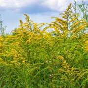 ヒメ日記 2025/09/22 08:52 投稿 藤原 HERMINE-エルミネ-