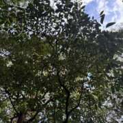 ヒメ日記 2025/10/06 07:19 投稿 藤原 HERMINE-エルミネ-