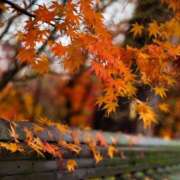 ヒメ日記 2025/10/07 14:57 投稿 藤原 HERMINE-エルミネ-