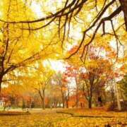 ヒメ日記 2025/10/15 08:54 投稿 藤原 HERMINE-エルミネ-