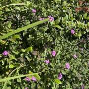 ヒメ日記 2025/11/01 10:50 投稿 藤原 HERMINE-エルミネ-