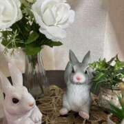 ヒメ日記 2025/11/13 17:45 投稿 藤原 HERMINE-エルミネ-