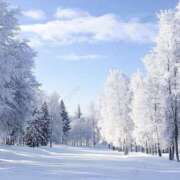 ヒメ日記 2025/12/18 09:13 投稿 藤原 HERMINE-エルミネ-