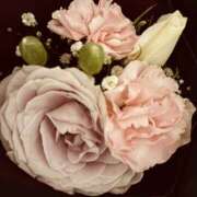 ヒメ日記 2026/01/20 23:09 投稿 藤原 HERMINE-エルミネ-