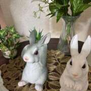 ヒメ日記 2026/01/31 20:32 投稿 藤原 HERMINE-エルミネ-