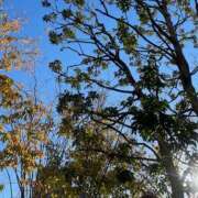 ヒメ日記 2026/02/01 08:42 投稿 藤原 HERMINE-エルミネ-