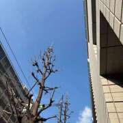 ヒメ日記 2026/02/19 09:24 投稿 藤原 HERMINE-エルミネ-