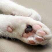 ヒメ日記 2026/02/22 20:40 投稿 藤原 HERMINE-エルミネ-