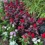 ヒメ日記 2026/02/23 09:45 投稿 藤原 HERMINE-エルミネ-