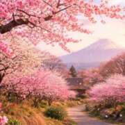 ヒメ日記 2026/02/26 09:11 投稿 藤原 HERMINE-エルミネ-