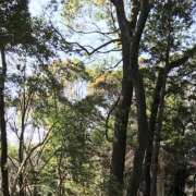 ヒメ日記 2026/03/06 08:37 投稿 藤原 HERMINE-エルミネ-