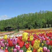 ヒメ日記 2026/03/13 12:37 投稿 藤原 HERMINE-エルミネ-