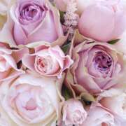 ヒメ日記 2026/03/16 18:29 投稿 藤原 HERMINE-エルミネ-