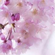 ヒメ日記 2026/04/03 10:59 投稿 藤原 HERMINE-エルミネ-